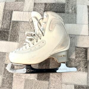 Edea Ice Fly 240B and Gold Seal Blade